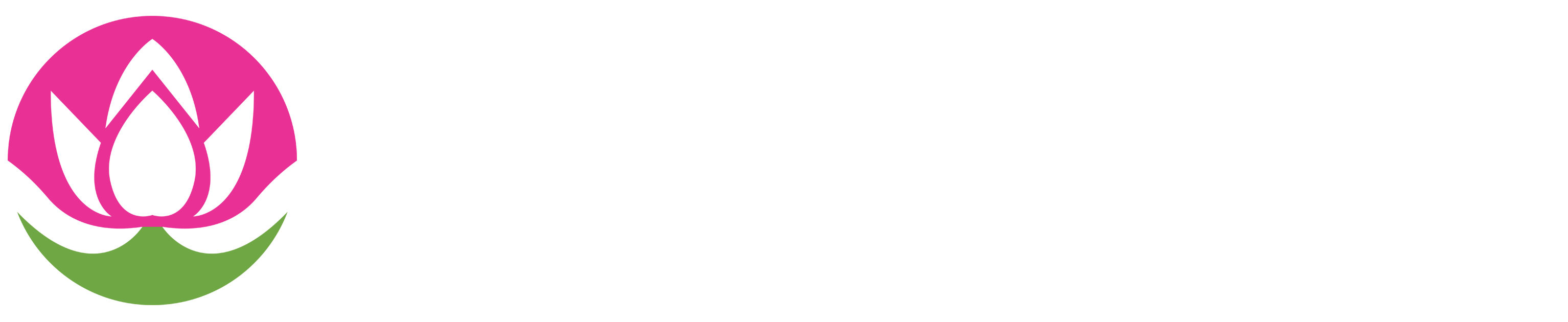 Thầy Thích Hạnh Tuệ